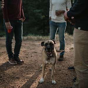 Camp Cherished-Camp for a Cause