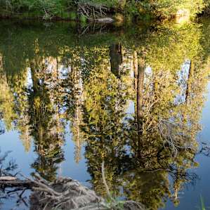 Big Bend Group Campground