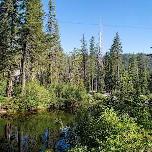 Big Bend Group Campground