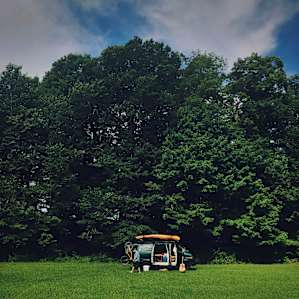 Shady Acres (tents)