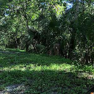 River Goddess Chalet Lithia Florida