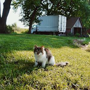 135 year old farm-Near Sioux Falls