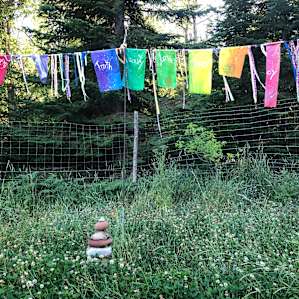Owl's Nest TreeHouse @ AWPW