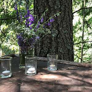 Owl's Nest TreeHouse @ AWPW