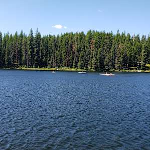 The Old Black Lake Resort