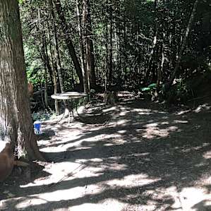 Cascadia Center Camp