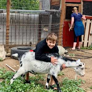 The Farm