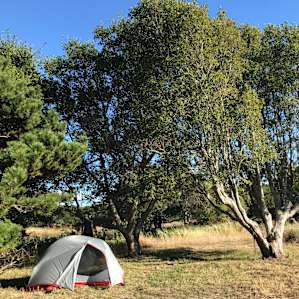 We pitched our tent adjacent to a small pond.