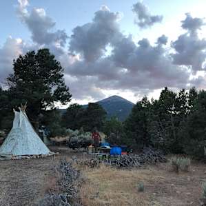 View of the site