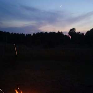 A Sweeping Pine Sunset Camp