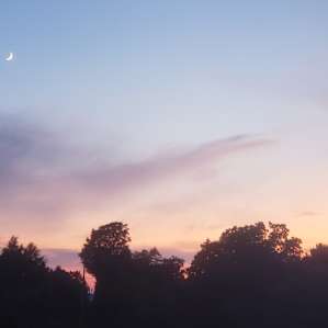 A Sweeping Pine Sunset Camp