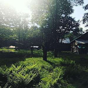 Glamping on the Farm!