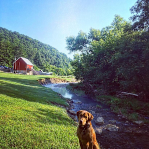 Creek Side Sounds #2