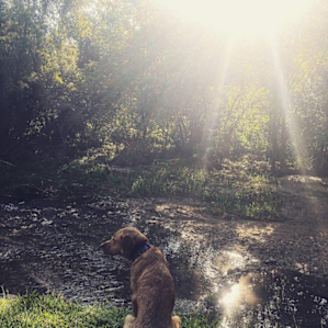 Creek Side Sounds #2