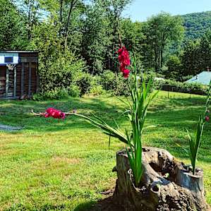 Camp Handsome Hollow