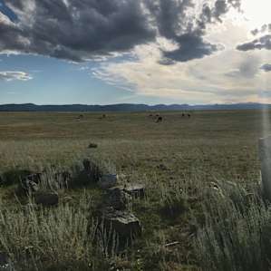 Wyoming Western Big Horn Base Camp