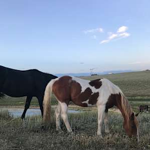 Wyoming Western Big Horn Base Camp