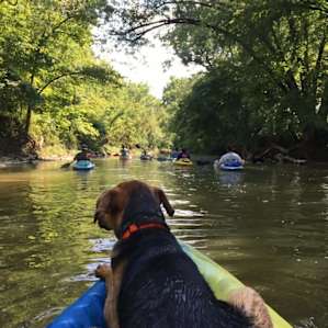 Little Wing Hollow's Frisbee Field