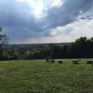Little Wing Hollow's Frisbee Field