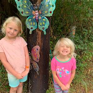 Butterfly’s