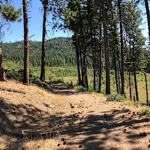 First Creek Camping