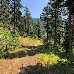 First Creek Camping