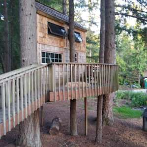 The treehouse with a napping dog on the porch