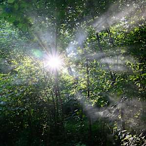 The sun burning through a hazy morning.