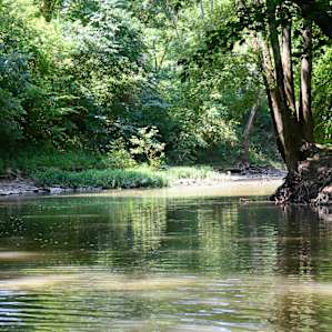 The Chaplin River.