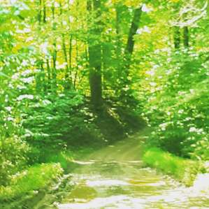 Cacapon River Mountainside Camp