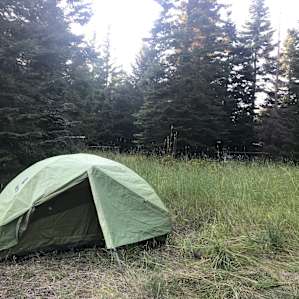 LITTLE BEAR RANCH