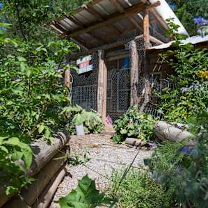 A Wee Place in the Woods - Cabin