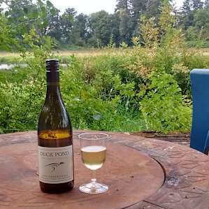 Some vino at the pond.