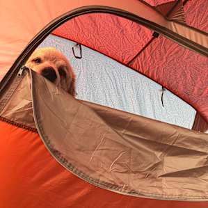 Camping at the Horse Farm 30 amp