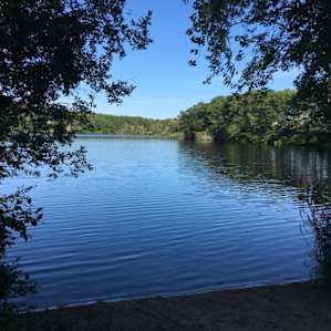 Campsite view