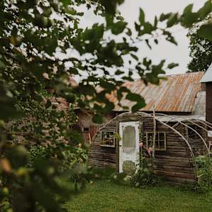 View of the garden