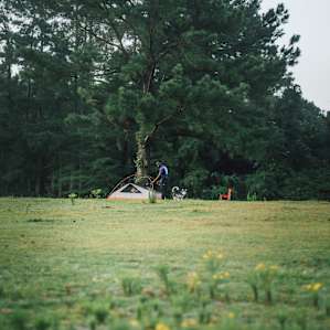Silk Purse Farm