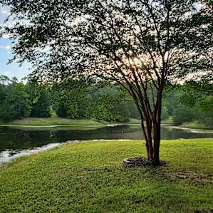 The Honey Hole