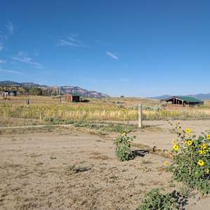 Camp Kush- "Sage"- Women's Dorm