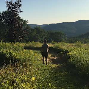 From the upper part of the meadow, with the forest area behind.