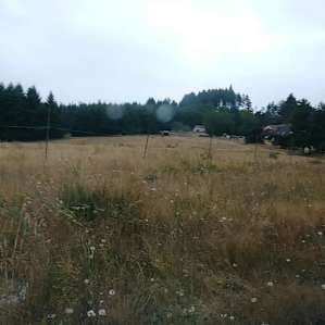 Lots of land.