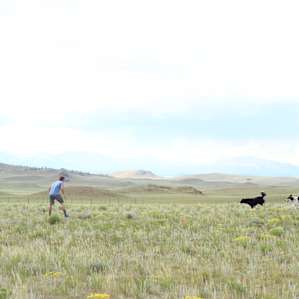 Roll Dog Adventure outdoor retreats for people and dogs.