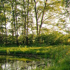 Overland Camping at The Pond