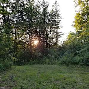 Afternoon shot from site