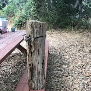 This guy was our guest at our site