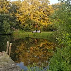 A little reflection off the pond.....wonderful place