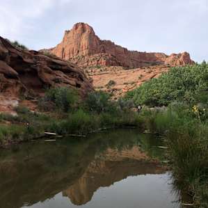 Narrow Canyon Orchards Campsite