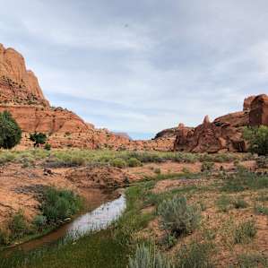 Narrow Canyon Orchards Campsite