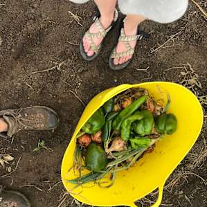 135 year old farm-Near Sioux Falls