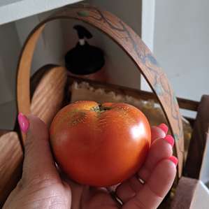 Fresh veggies from host